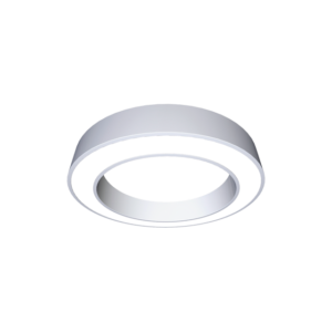 ДСО32 RING